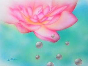 坂本 千春の作品「蓮の涙」