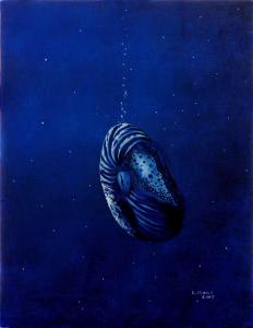 Keiko Okanoの作品「eternal blue 深海 オウムガイ」