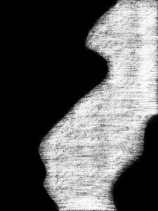 shintsurutaの作品「Noise」