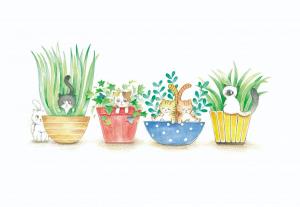ぴょこりょん(陽葵ちま)の作品「Cats in Pots」
