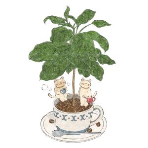 八雲 凪咲の作品「猫とコーヒーの木」